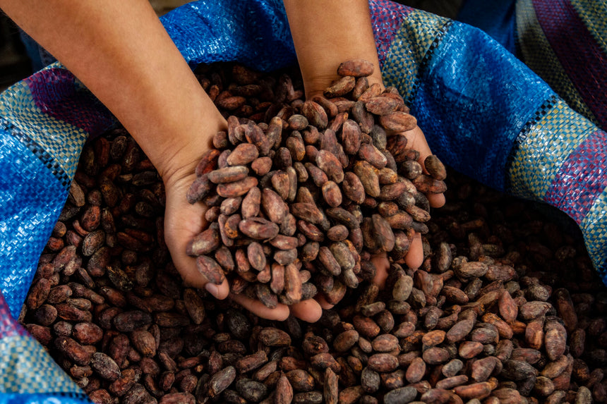 Organic "Arriba Nacional" Cacao Paste